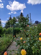 IMG_20240609_141022